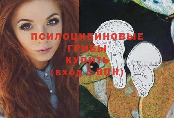 гашиш Вяземский