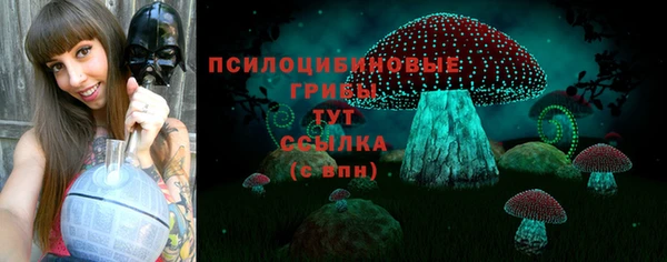 spice Вязники